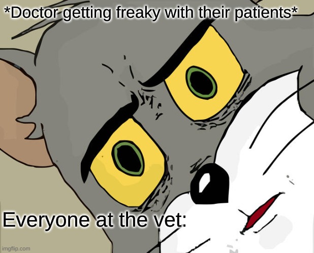 Unsettled Tom Meme | *Doctor getting freaky with their patients*; Everyone at the vet: | image tagged in memes,unsettled tom,lol | made w/ Imgflip meme maker