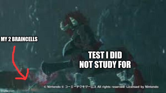 baby sidon lynel | MY 2 BRAINCELLS; TEST I DID NOT STUDY FOR | image tagged in baby sidon lynel | made w/ Imgflip meme maker
