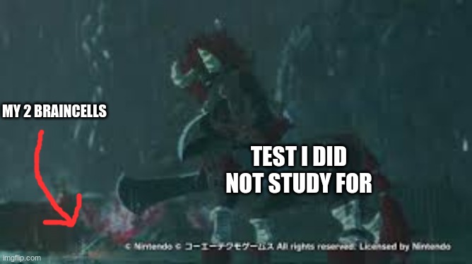 baby sidon lynel | MY 2 BRAINCELLS; TEST I DID NOT STUDY FOR | image tagged in baby sidon lynel | made w/ Imgflip meme maker