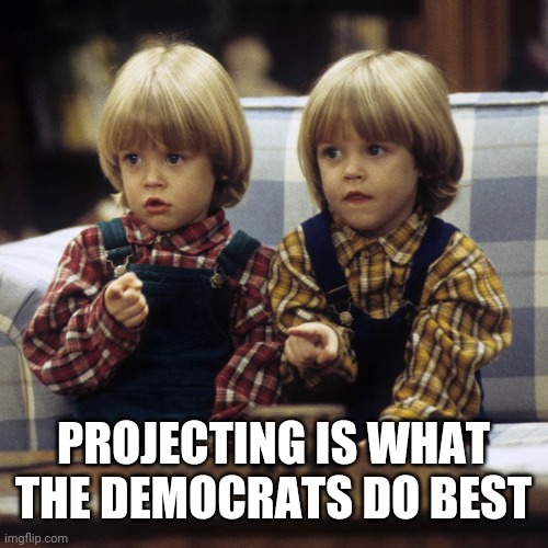 SHAME ON YOU | PROJECTING IS WHAT THE DEMOCRATS DO BEST | image tagged in shame on you | made w/ Imgflip meme maker