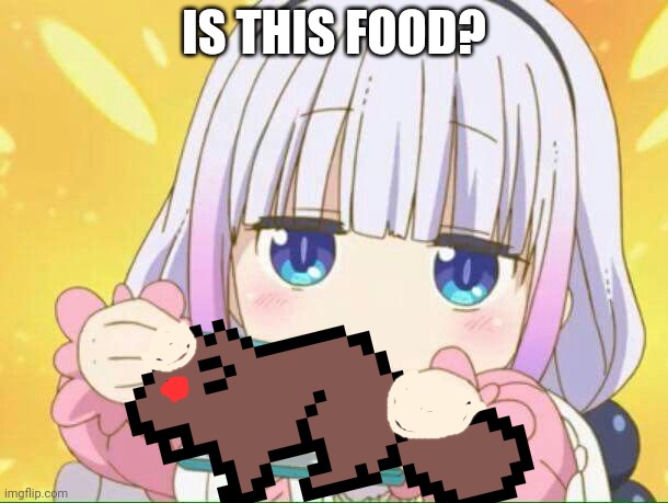 Kanna Kamui Eats Beaver | IS THIS FOOD? | image tagged in trolling,anime girl,kanna,beavers,hungry,chibi | made w/ Imgflip meme maker