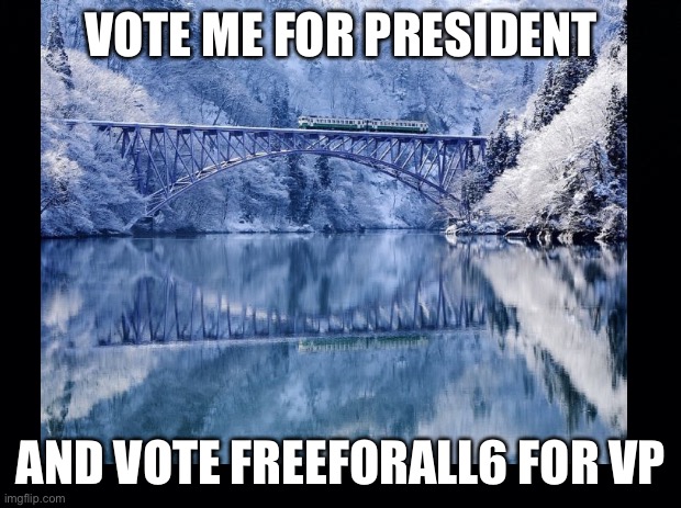 Vote | VOTE ME FOR PRESIDENT; AND VOTE FREEFORALL6 FOR VP | image tagged in vote | made w/ Imgflip meme maker