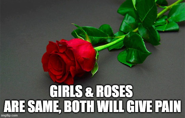 GIRLS & ROSES | GIRLS & ROSES 
ARE SAME, BOTH WILL GIVE PAIN | image tagged in memes,girl,love,pain,arabic | made w/ Imgflip meme maker