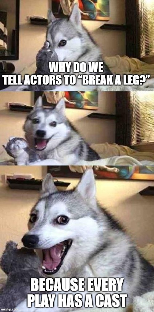 Dog Joke | WHY DO WE TELL ACTORS TO “BREAK A LEG?”; BECAUSE EVERY PLAY HAS A CAST | image tagged in dog joke | made w/ Imgflip meme maker