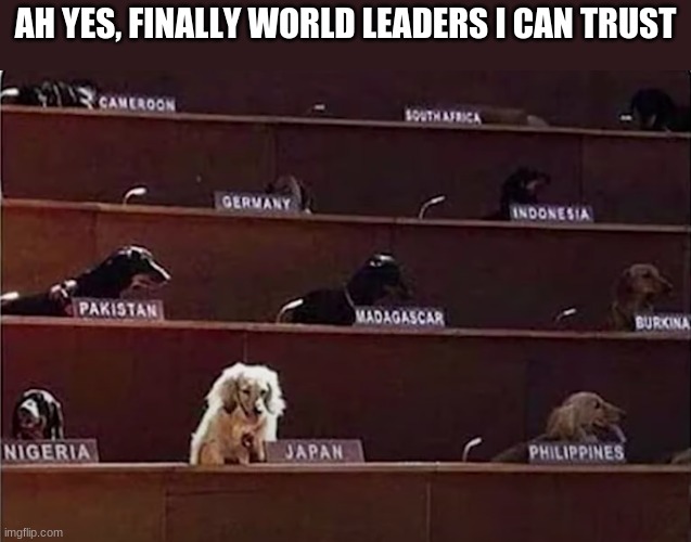 The world have never felt safer | AH YES, FINALLY WORLD LEADERS I CAN TRUST | image tagged in world leaders,doggos,safety first,dog memes | made w/ Imgflip meme maker