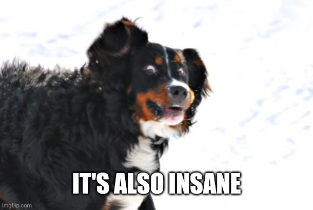 Crazy Dawg Meme | IT'S ALSO INSANE | image tagged in memes,crazy dawg | made w/ Imgflip meme maker