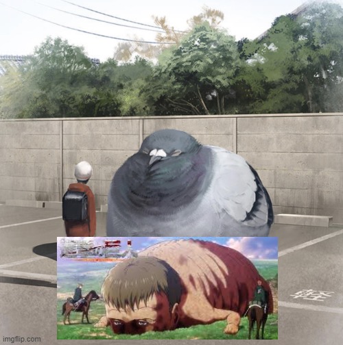to all those who have watched attack on titan | image tagged in beeg birb | made w/ Imgflip meme maker