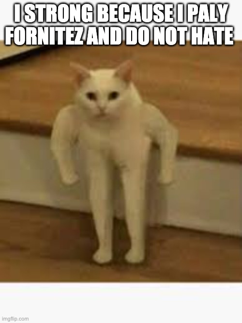 I STRONG BECAUSE I PALY FORNITEZ AND DO NOT HATE | image tagged in funny memes,cats | made w/ Imgflip meme maker