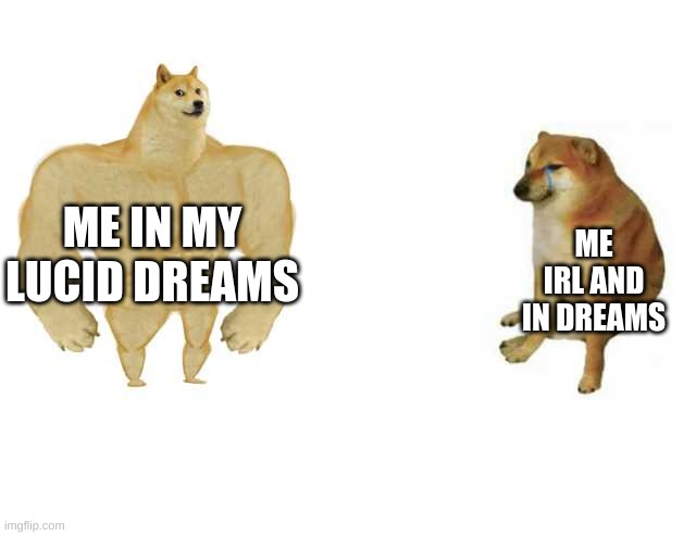 Strong Doge/Weak Doge | ME IN MY LUCID DREAMS ME IRL AND IN DREAMS | image tagged in strong doge/weak doge | made w/ Imgflip meme maker