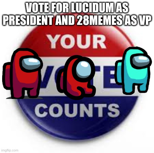 please vote us | VOTE FOR LUCIDUM AS PRESIDENT AND 28MEMES AS VP | image tagged in vote | made w/ Imgflip meme maker