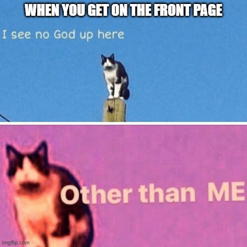 LOL | WHEN YOU GET ON THE FRONT PAGE | image tagged in hail pole cat,lolololololoololl | made w/ Imgflip meme maker