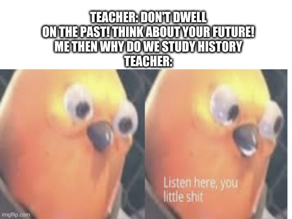 TEACHER: DON'T DWELL ON THE PAST! THINK ABOUT YOUR FUTURE!
ME THEN WHY DO WE STUDY HISTORY
TEACHER: | image tagged in listen here you little shit bird,memes,teachers,past,blank white template | made w/ Imgflip meme maker