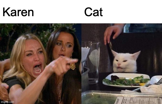 Antimeme (Day 13) | Karen; Cat | image tagged in memes,woman yelling at cat | made w/ Imgflip meme maker