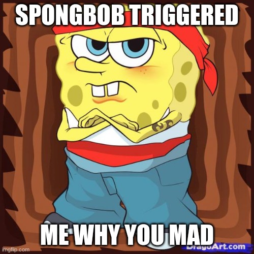 spongebob | SPONGBOB TRIGGERED; ME WHY YOU MAD | image tagged in gansta spongbob | made w/ Imgflip meme maker