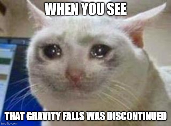 Sad cat | WHEN YOU SEE; THAT GRAVITY FALLS WAS DISCONTINUED | image tagged in sad cat | made w/ Imgflip meme maker