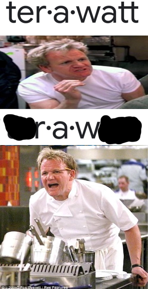 This word is so raw, it's not in a dictionary!!!! | image tagged in blank white template,gordon ramsay idiot sandwich | made w/ Imgflip meme maker