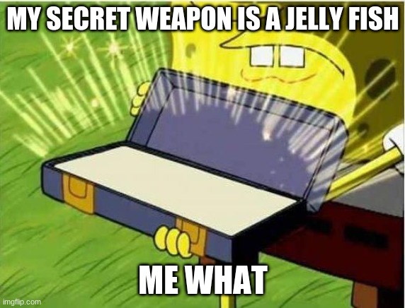 spongebob | MY SECRET WEAPON IS A JELLY FISH; ME WHAT | image tagged in spongbob secret weapon | made w/ Imgflip meme maker