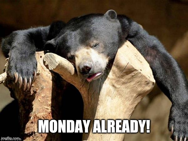 Monday | MONDAY ALREADY! | image tagged in monday mornings | made w/ Imgflip meme maker