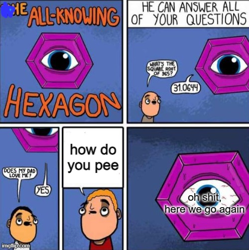 All knowing hexagon (ORIGINAL) | how do you pee; oh shit, here we go again | image tagged in all knowing hexagon original,oh shit here we go again | made w/ Imgflip meme maker