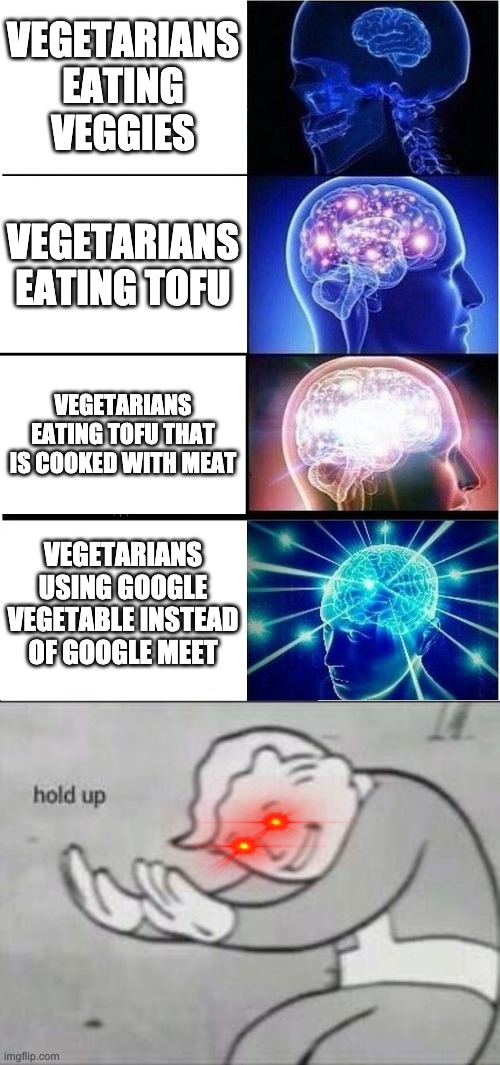 v | VEGETARIANS EATING VEGGIES; VEGETARIANS EATING TOFU; VEGETARIANS EATING TOFU THAT IS COOKED WITH MEAT; VEGETARIANS USING GOOGLE VEGETABLE INSTEAD OF GOOGLE MEET | image tagged in memes,expanding brain,fallout hold up | made w/ Imgflip meme maker