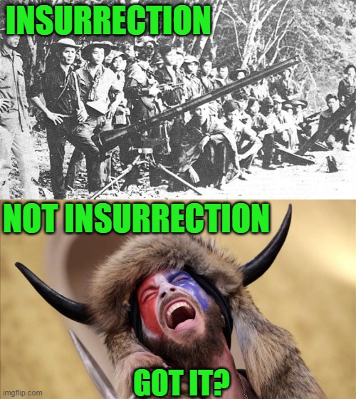 yep | INSURRECTION; NOT INSURRECTION; GOT IT? | image tagged in democrats,communism,banana republic | made w/ Imgflip meme maker