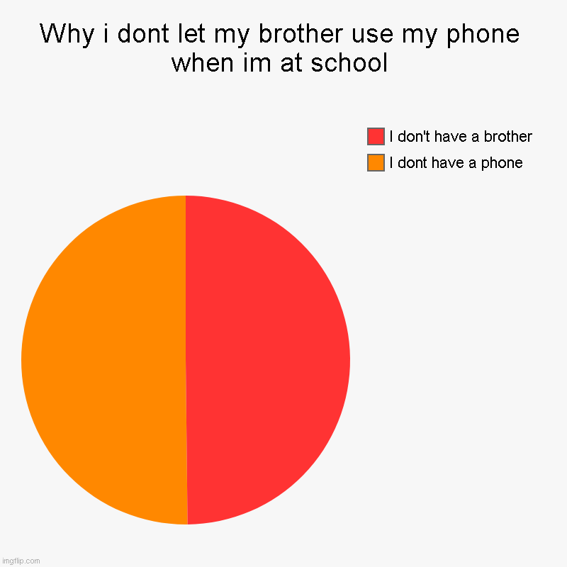 Why i dont let my brother use my phone when im at school | I dont have a phone, I don't have a brother | image tagged in charts,pie charts | made w/ Imgflip chart maker
