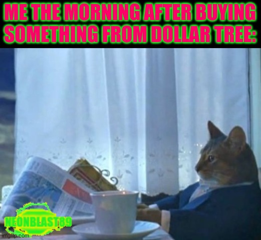 Imgflip meme | ME THE MORNING AFTER BUYING SOMETHING FROM DOLLAR TREE: | image tagged in memes,i should buy a boat cat | made w/ Imgflip meme maker