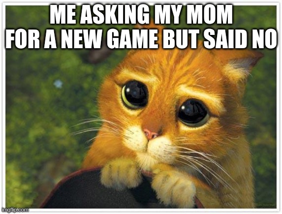 plz | ME ASKING MY MOM FOR A NEW GAME BUT SAID NO | image tagged in memes,shrek cat | made w/ Imgflip meme maker