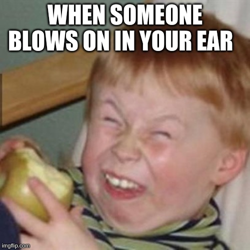 laughing kid | WHEN SOMEONE BLOWS ON IN YOUR EAR | image tagged in laughing kid | made w/ Imgflip meme maker