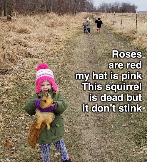 She’s Not Like the Other Girls | Roses are red
my hat is pink
This squirrel is dead but it don’t stink | image tagged in funny memes,squirrels,roadkill | made w/ Imgflip meme maker