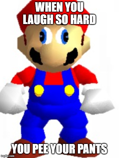 Mairo | WHEN YOU LAUGH SO HARD; YOU PEE YOUR PANTS | image tagged in mairo | made w/ Imgflip meme maker