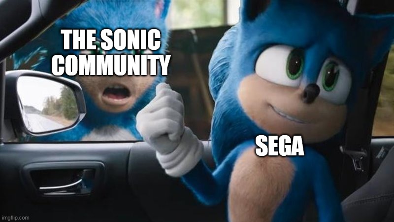 The community of the sonic franchise | THE SONIC COMMUNITY; SEGA | image tagged in sonic movie old vs new | made w/ Imgflip meme maker