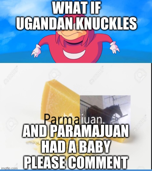 i dont need sleep i need answers | WHAT IF UGANDAN KNUCKLES; AND PARAMAJUAN HAD A BABY PLEASE COMMENT | image tagged in uganda knuckles | made w/ Imgflip meme maker