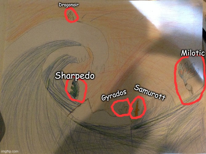 Dragonair; Milotic; Sharpedo; Samurott; Gyrados | made w/ Imgflip meme maker