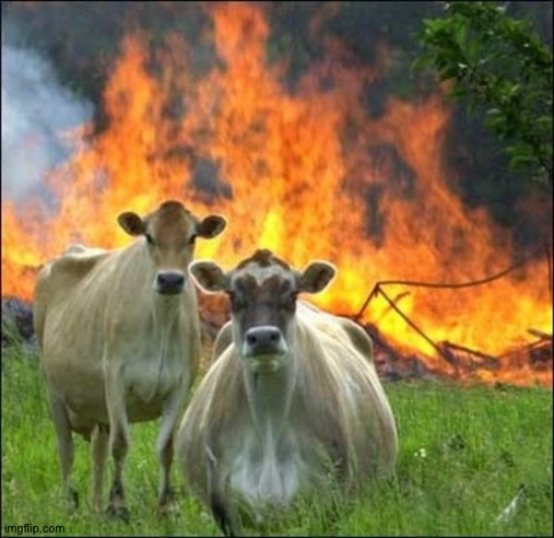 Evil Cows Meme | image tagged in memes,evil cows | made w/ Imgflip meme maker