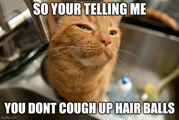 SO YOUR TELLING ME; YOU DONT COUGH UP HAIR BALLS | image tagged in funny | made w/ Imgflip meme maker