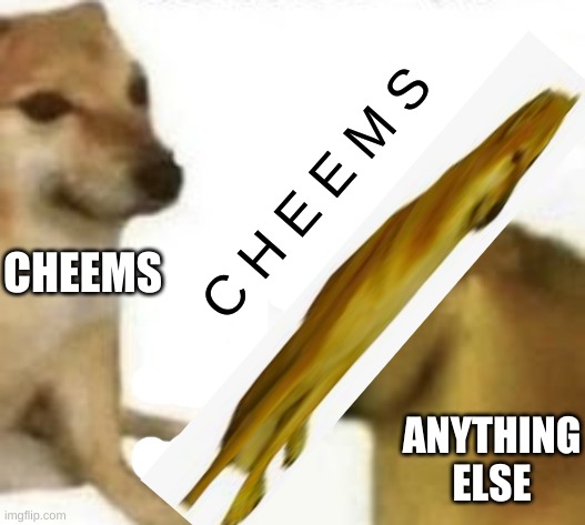 Bonk | C H E E M S; CHEEMS; ANYTHING ELSE | image tagged in cheems,ruls,the,world | made w/ Imgflip meme maker