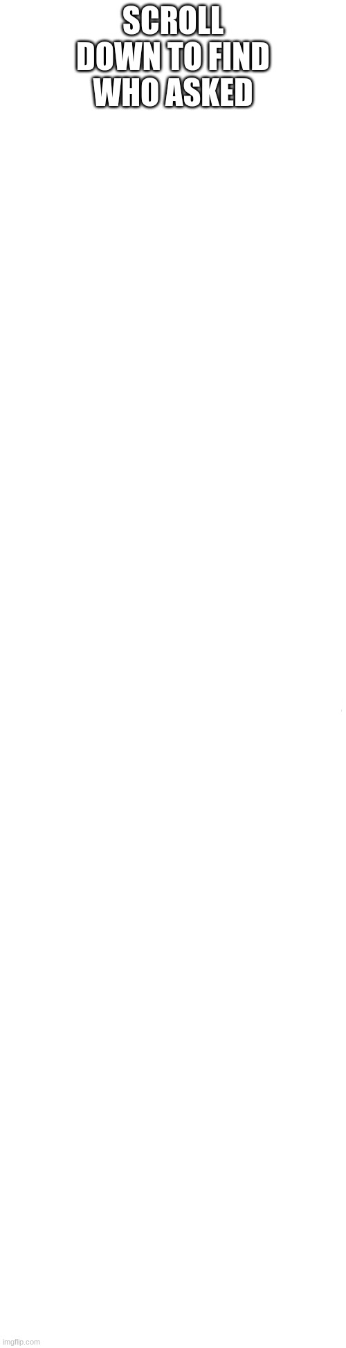 Long blank white | SCROLL DOWN TO FIND WHO ASKED | image tagged in long blank white | made w/ Imgflip meme maker