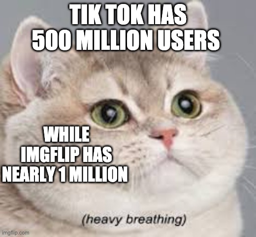 TikTok Might Take Over the World | TIK TOK HAS 500 MILLION USERS; WHILE IMGFLIP HAS NEARLY 1 MILLION | image tagged in cat breathing | made w/ Imgflip meme maker
