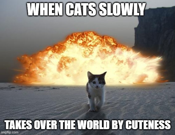 cat explosion | WHEN CATS SLOWLY; TAKES OVER THE WORLD BY CUTENESS | image tagged in cat explosion | made w/ Imgflip meme maker