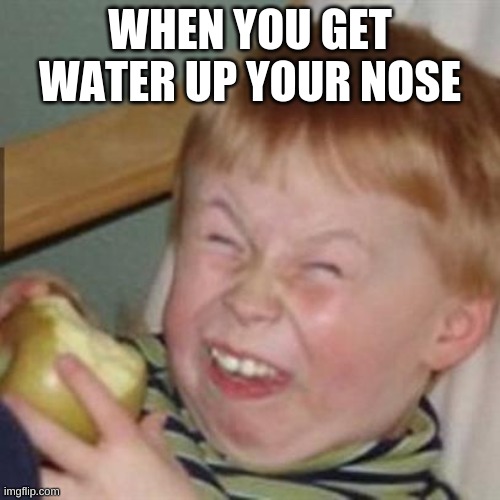 laughing kid |  WHEN YOU GET WATER UP YOUR NOSE | image tagged in laughing kid,water up nose,ermagerd,funny,died laughing | made w/ Imgflip meme maker