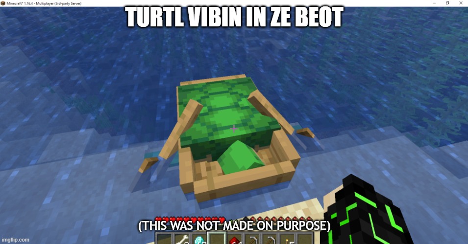turtl vibin | TURTL VIBIN IN ZE BEOT; (THIS WAS NOT MADE ON PURPOSE) | image tagged in minecraft,turtle | made w/ Imgflip meme maker