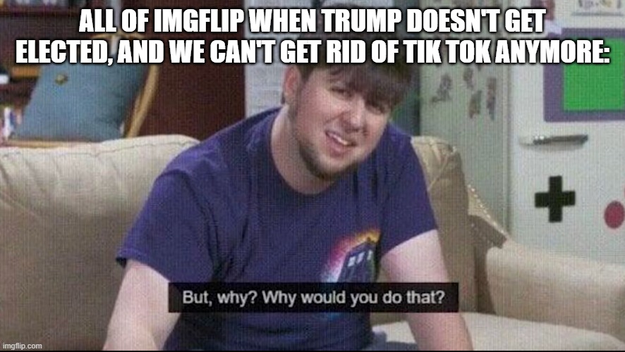 We had one chance of getting rid of tik tok... and we failed | ALL OF IMGFLIP WHEN TRUMP DOESN'T GET ELECTED, AND WE CAN'T GET RID OF TIK TOK ANYMORE: | image tagged in but why why would you do that | made w/ Imgflip meme maker