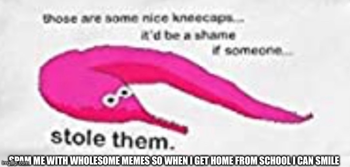 E | SPAM ME WITH WHOLESOME MEMES SO WHEN I GET HOME FROM SCHOOL I CAN SMILE | made w/ Imgflip meme maker