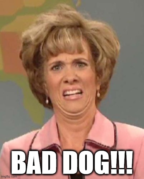 Disgusted Kristin Wiig | BAD DOG!!! | image tagged in disgusted kristin wiig | made w/ Imgflip meme maker