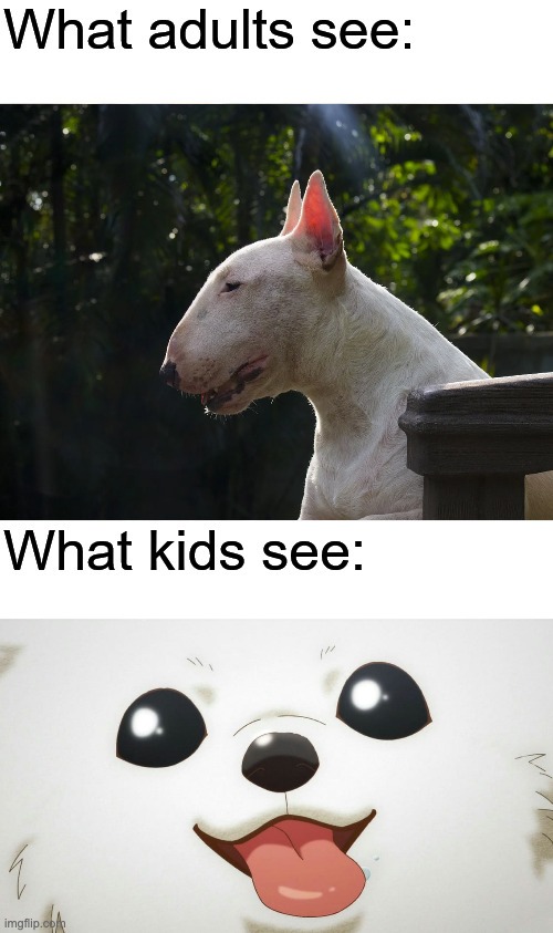 What adults see vs What kids see: Dos | image tagged in dogs,dog,funny | made w/ Imgflip meme maker