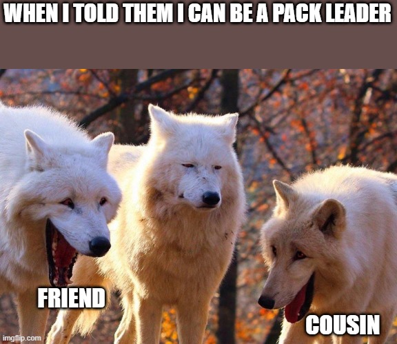 2/3 wolves laugh | WHEN I TOLD THEM I CAN BE A PACK LEADER; FRIEND                                                                                                                                COUSIN | image tagged in 2/3 wolves laugh | made w/ Imgflip meme maker