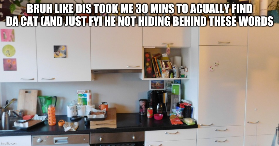 Like WAT?! |  BRUH LIKE DIS TOOK ME 30 MINS TO ACUALLY FIND DA CAT (AND JUST FYI HE NOT HIDING BEHIND THESE WORDS | image tagged in find da cat | made w/ Imgflip meme maker
