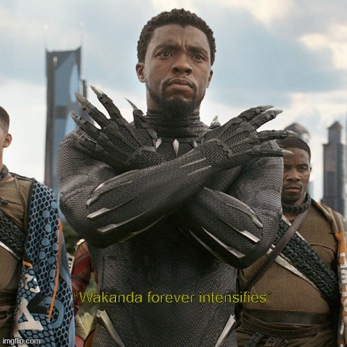 wakanda forever intensifies | image tagged in wakanda forever intensifies | made w/ Imgflip meme maker