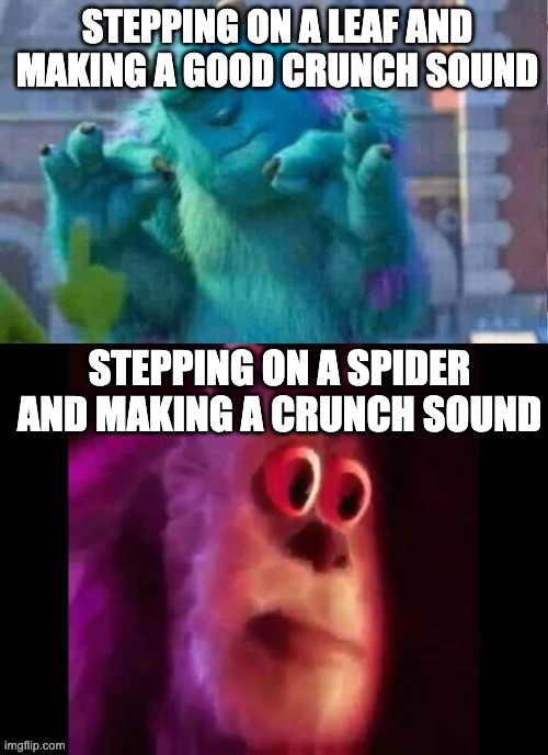 spider | STEPPING ON A LEAF AND MAKING A GOOD CRUNCH SOUND; STEPPING ON A SPIDER AND MAKING A CRUNCH SOUND | image tagged in sully ahh wut | made w/ Imgflip meme maker